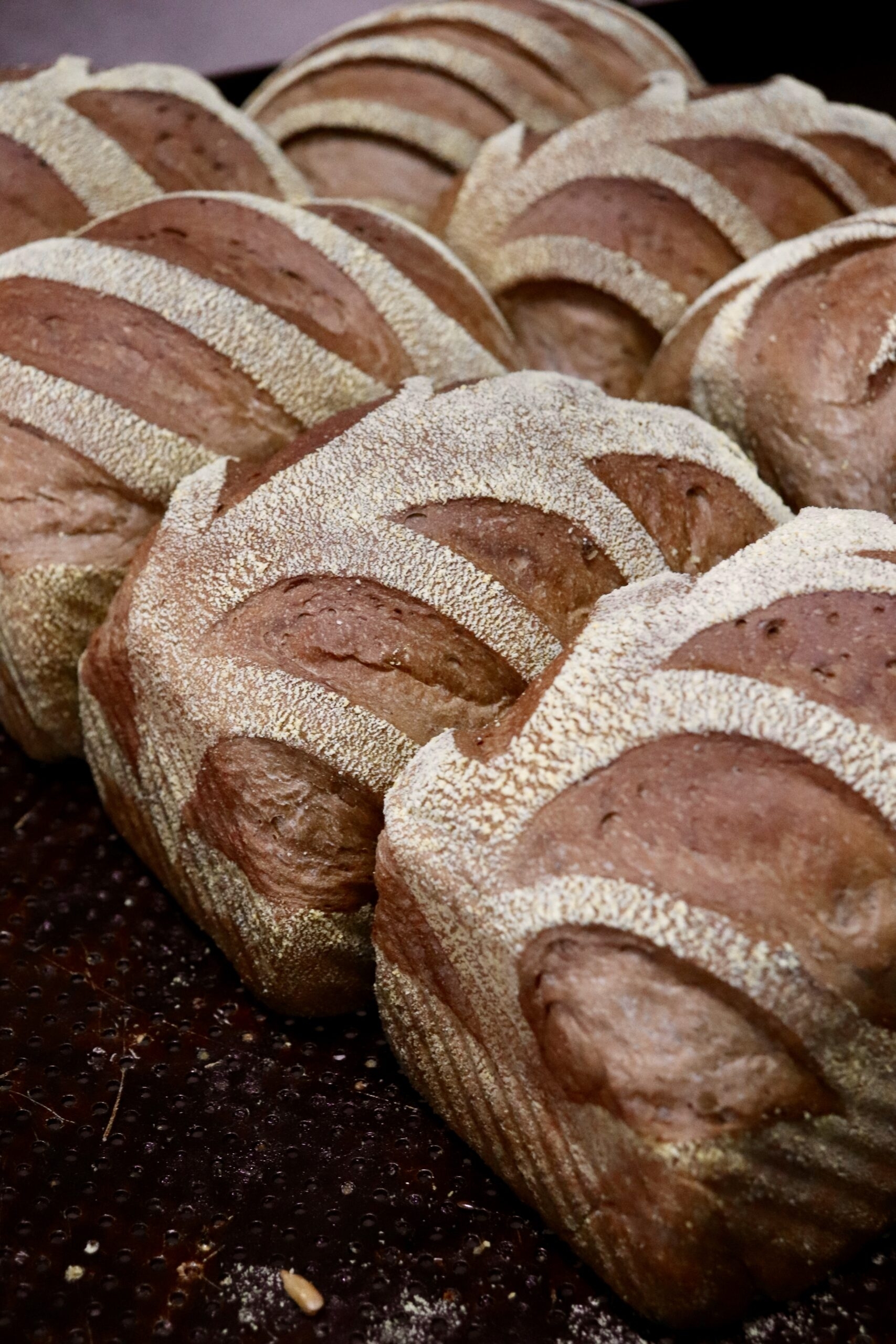 Saint Claire Bakery - Bigorrilho