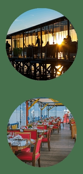 Restaurante: Ostradamus — 2