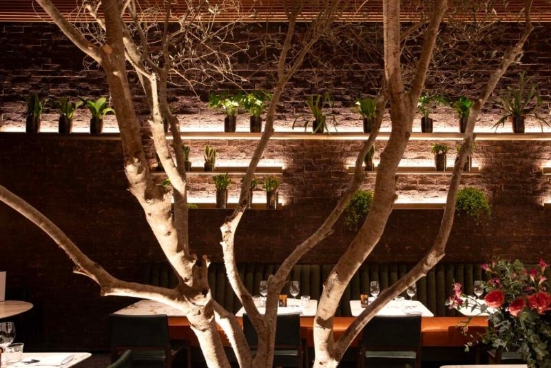Osteria Zucco: Massas Frescas, Risotos, Carnes, Peixes, Sobremesas Moema SP