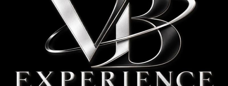 VB EXPERIENCE