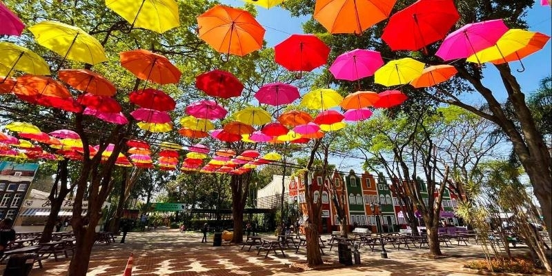 Evento: Excursao Para Holambra Exploflora Saindo De Franca