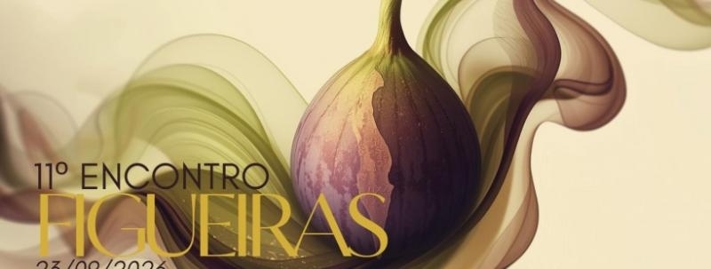 Evento: 11º Encontro Figueiras