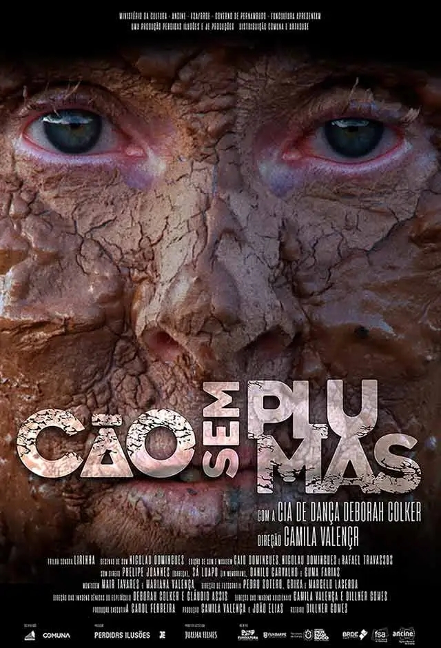 Evento: Cão Sem Plumas